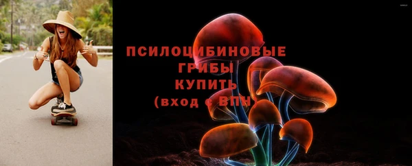 spice Армянск